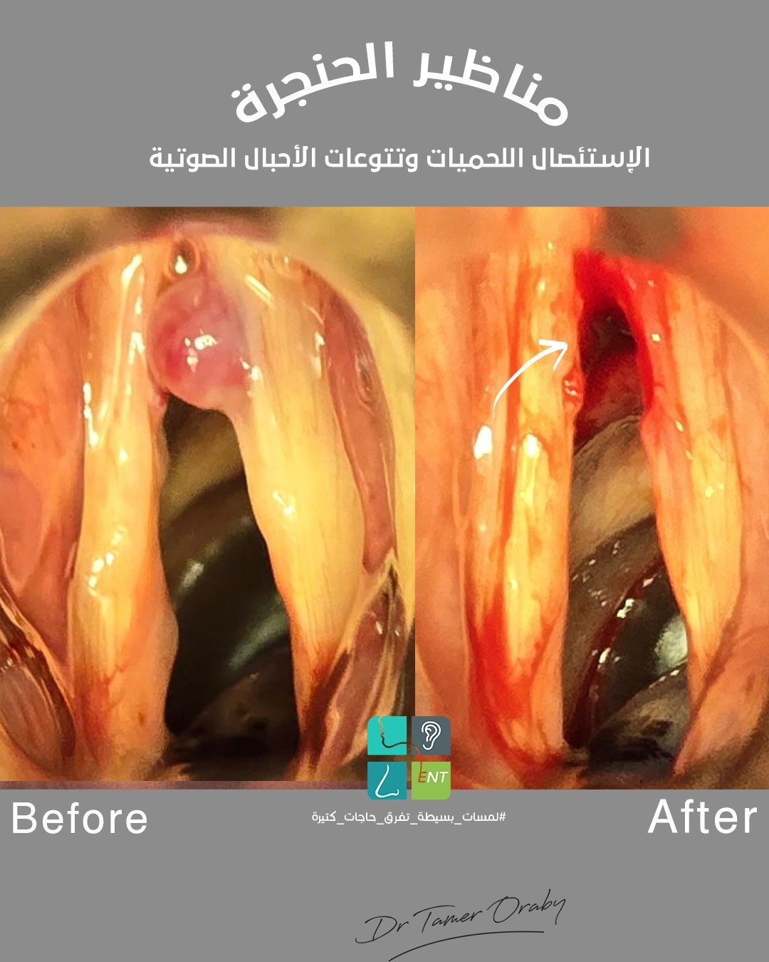 WhatsApp Image 2026-03-26 at 10.37.26 AM